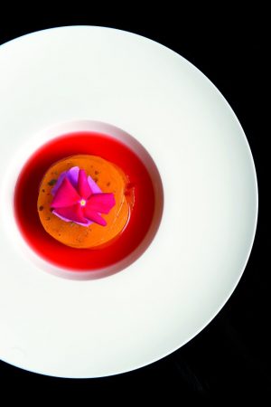 PROFESSIONE CHEF 4.0