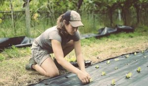 Agricoltura. 15 milioni per il bonus donne in campo 2020 alle imprenditrici agricole: i requisiti