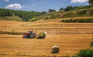 Agricoltura. Il lockdown consolida il Made in Italy? Ecco gli scenari