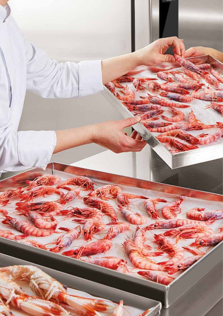 refrigerazione industriale